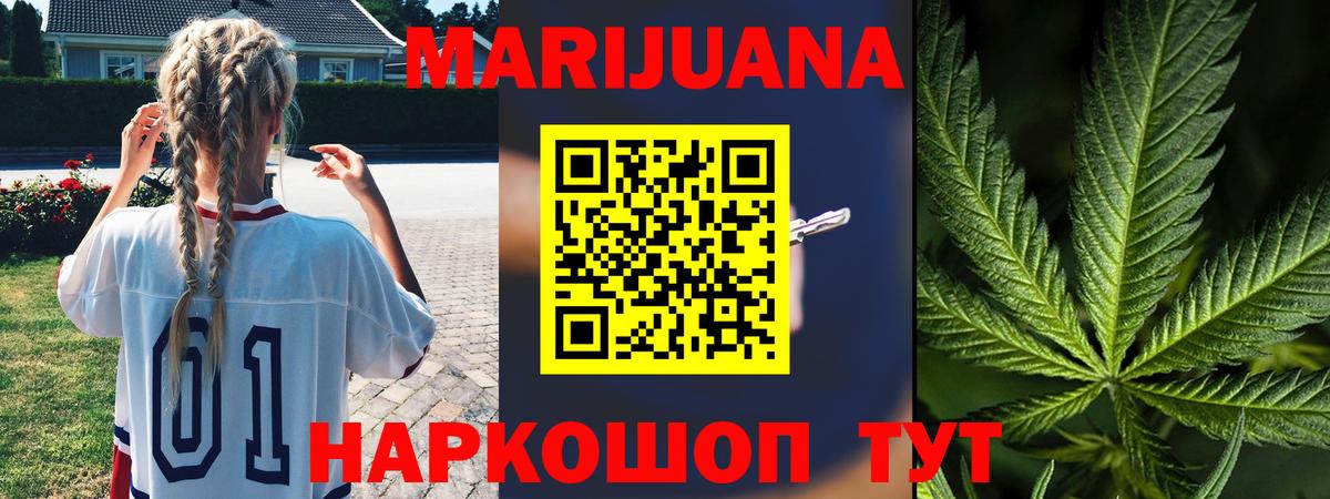 Бошки Шишки планчик Славянск-на-Кубани